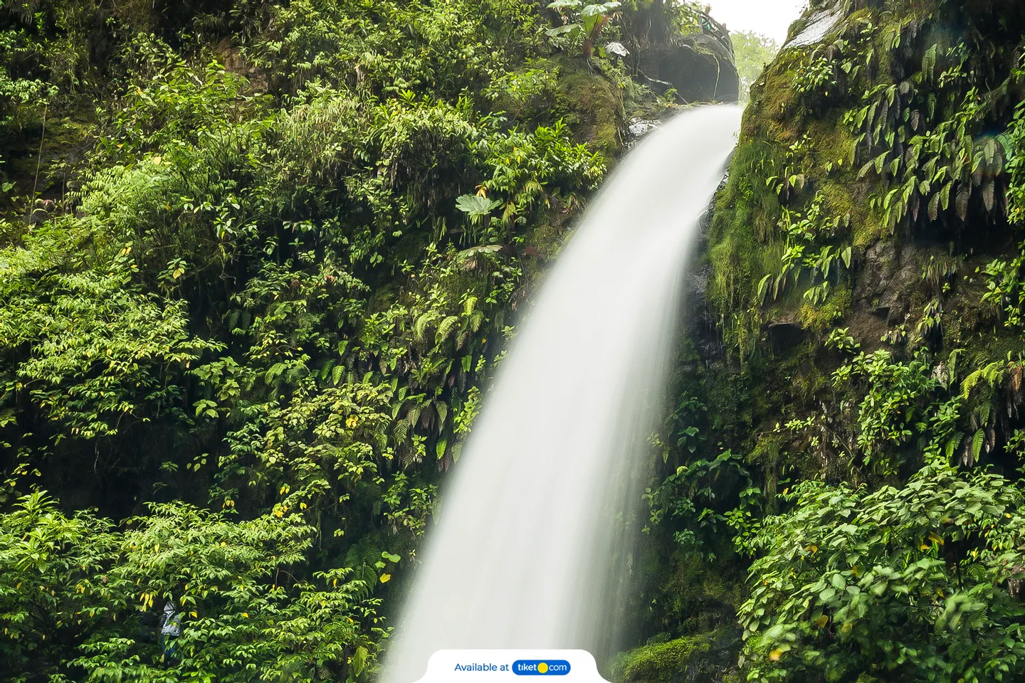 Private Tour Sekumpul Waterfall Combination Beratan Temple & Twin Lakes 6 Private Tour Sekumpul Waterfall Combination Beratan Temple & Twin Lakes
