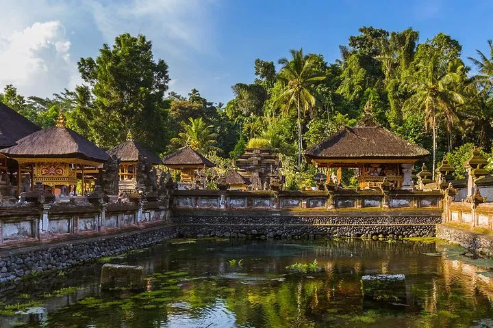 All of Ubud: Monkey Forest, Volcano, Temples and Rice Terrace 4 All of Ubud: Monkey Forest, Volcano, Temples and Rice Terrace