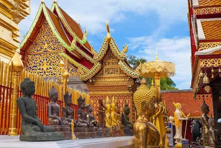 The Best City Tour View Points Wat Doi Suthep & Famous Viewpoints (Private)