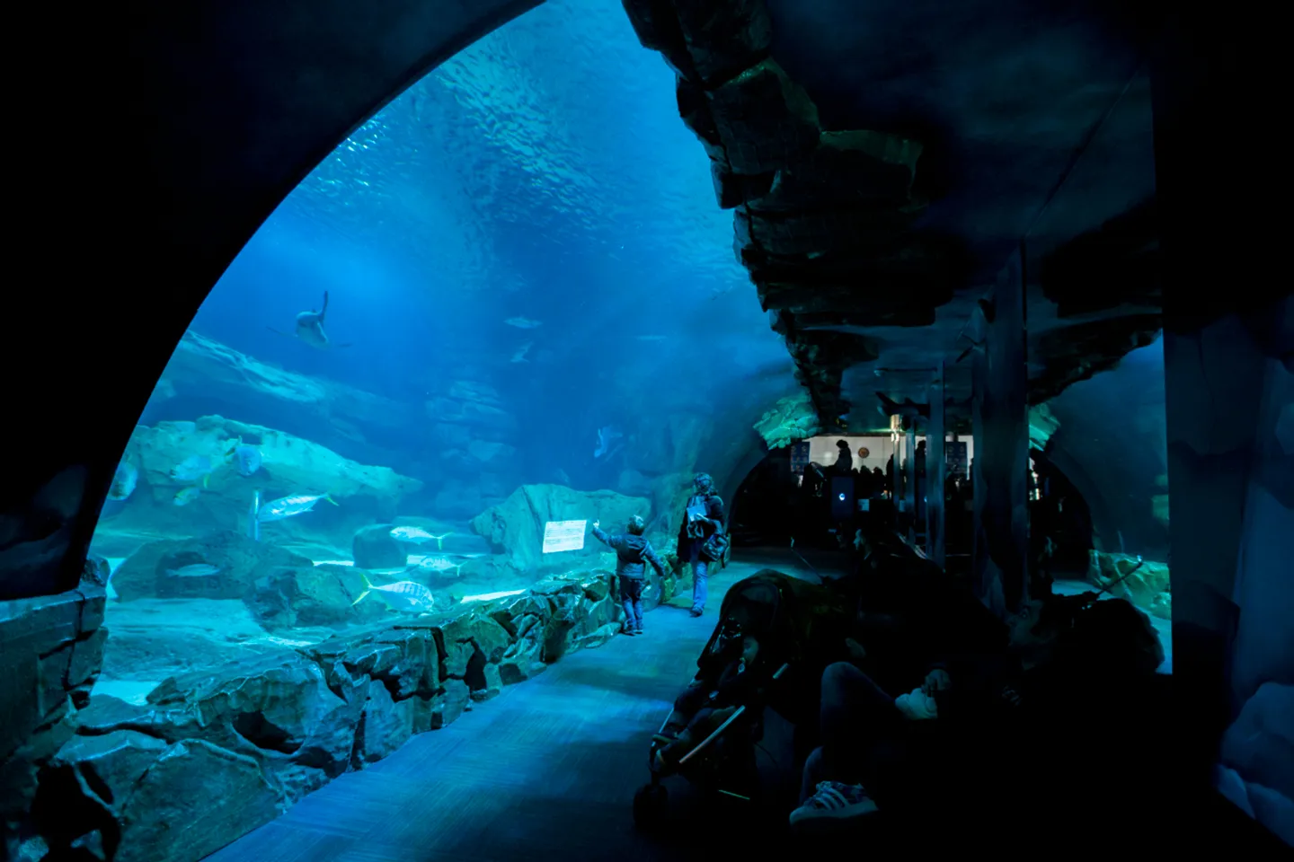 Aquarium de Paris